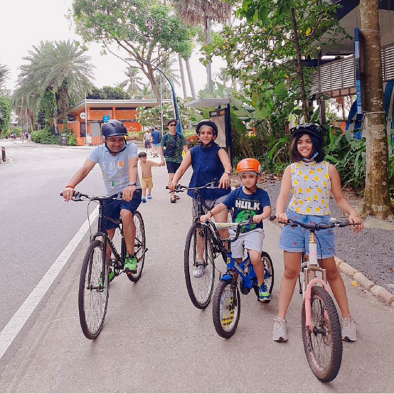 Gogreen Bicycle Rental Save With Go Singapore Admission Included